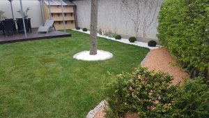 web_Garten-Poing19 web_Garten-Poing19